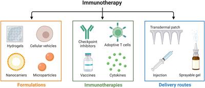Amplifying cancer treatment: advances in tumor immunotherapy and nanoparticle-based hyperthermia